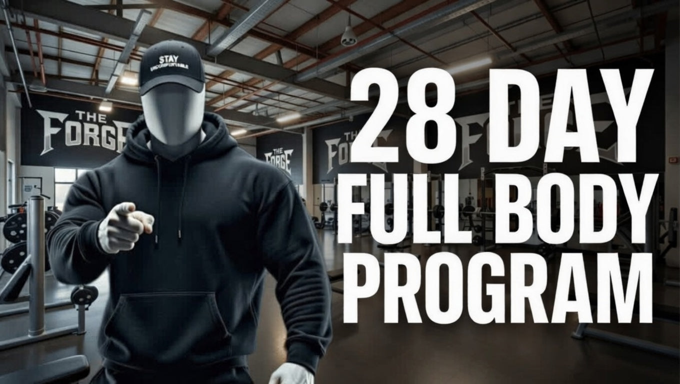 28-Day Full Body Program