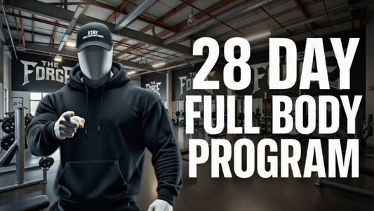28-Day Full Body Program
